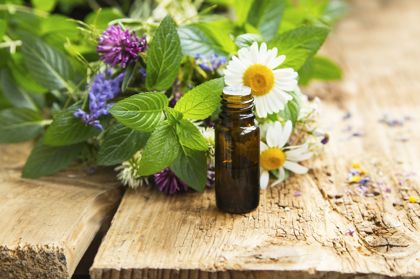 Essential Oil with Natural Herbs , Alternative Medicine