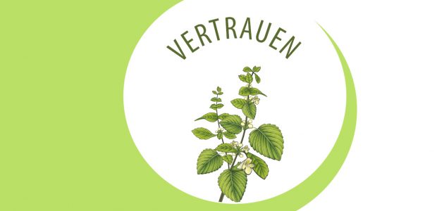 Bild Etikette Vertrauen